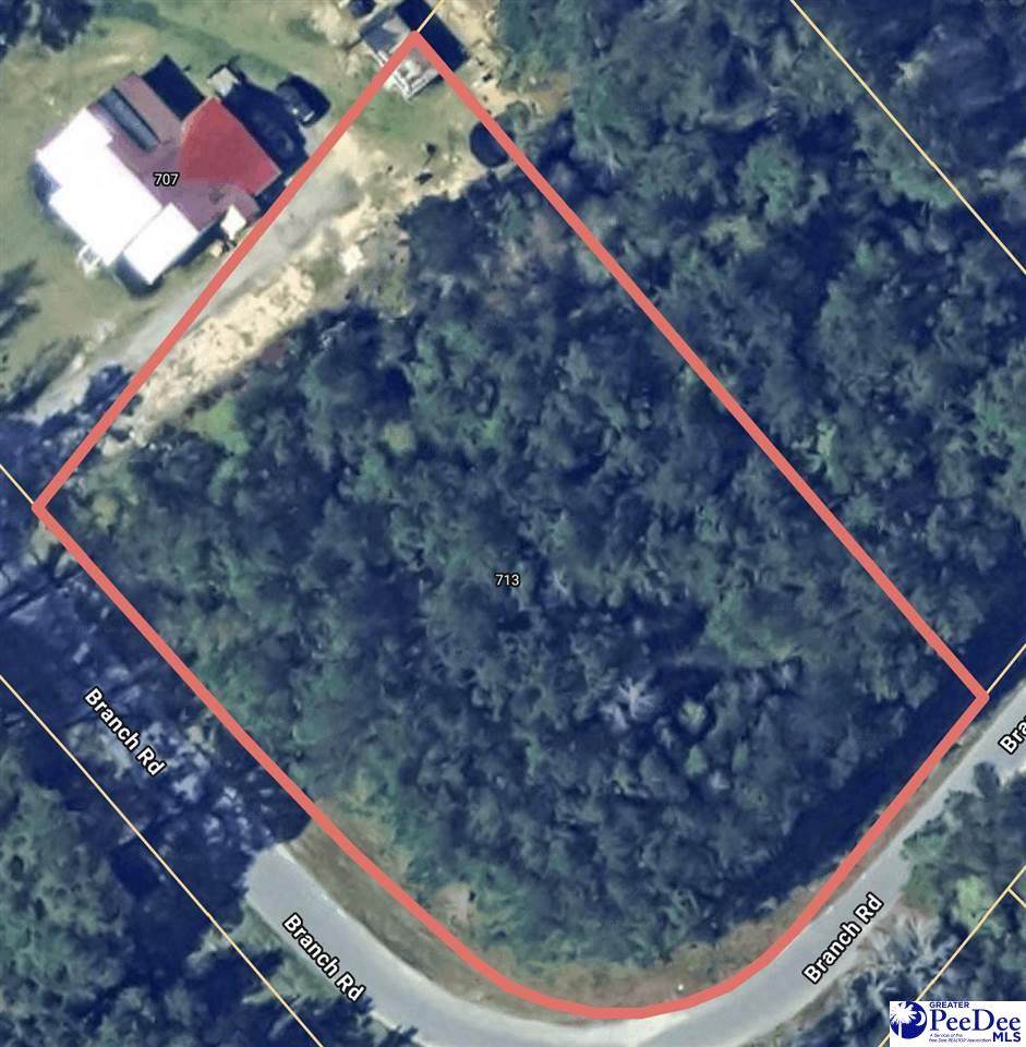 713 Branch Rd - Photo 1