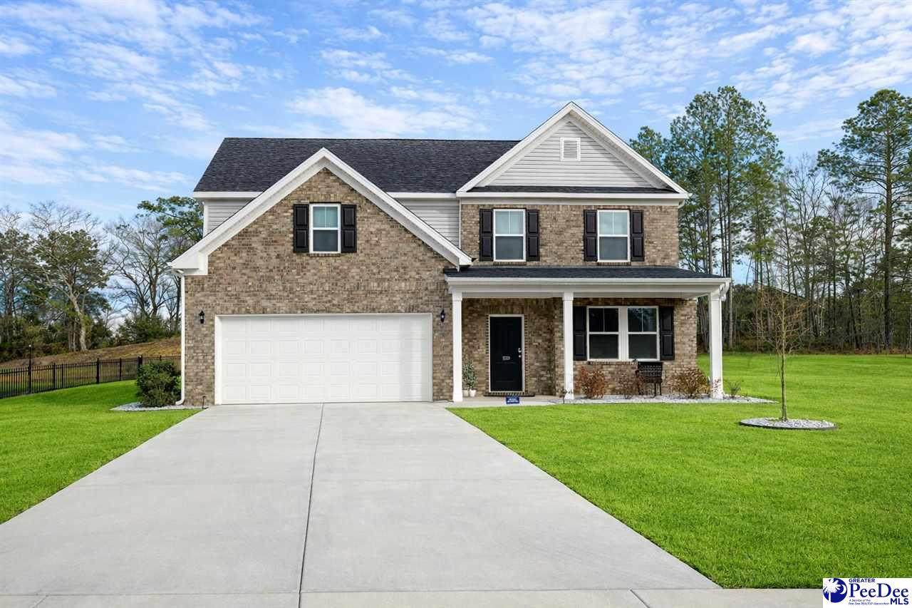 1204 Summer Duck Loop - Photo 1