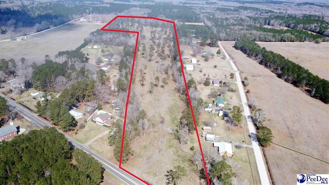 6007 Old Marion Hwy - +/-28.81 Ac. - Photo 1