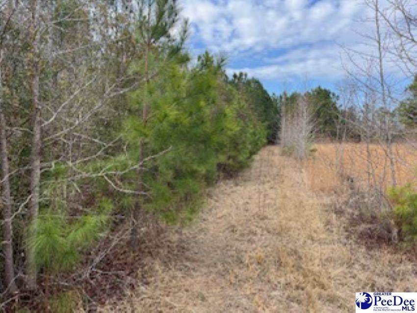 791 Moulds Rd. - Photo 1