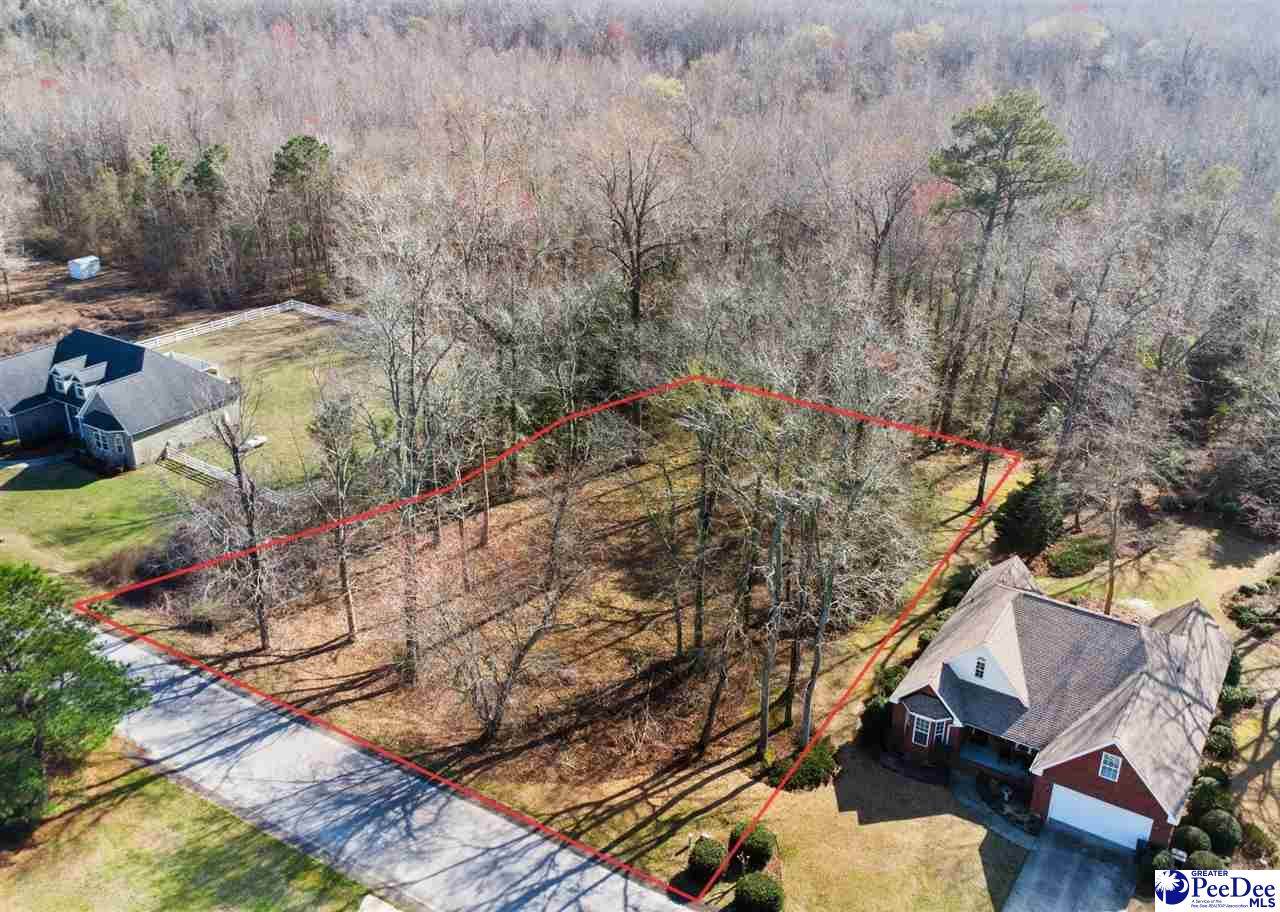 TBD Lot 23 Crickintree Lane - Photo 1