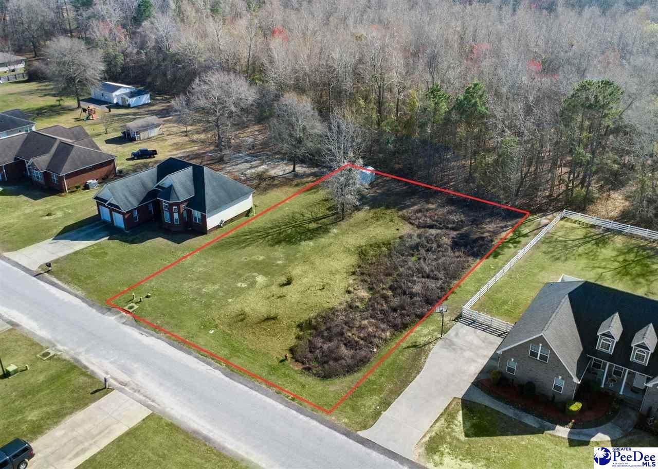 TBD Lot 26 Crickintree Lane - Photo 1