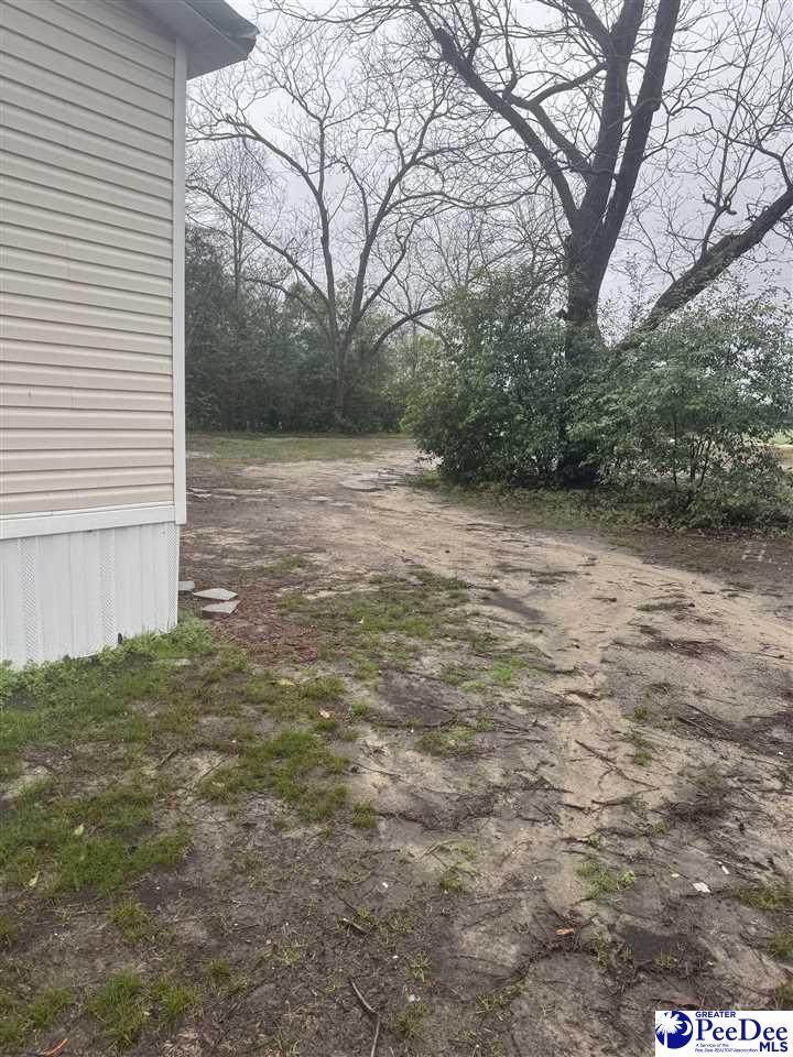 249 Woodlawn Rd - Photo 1