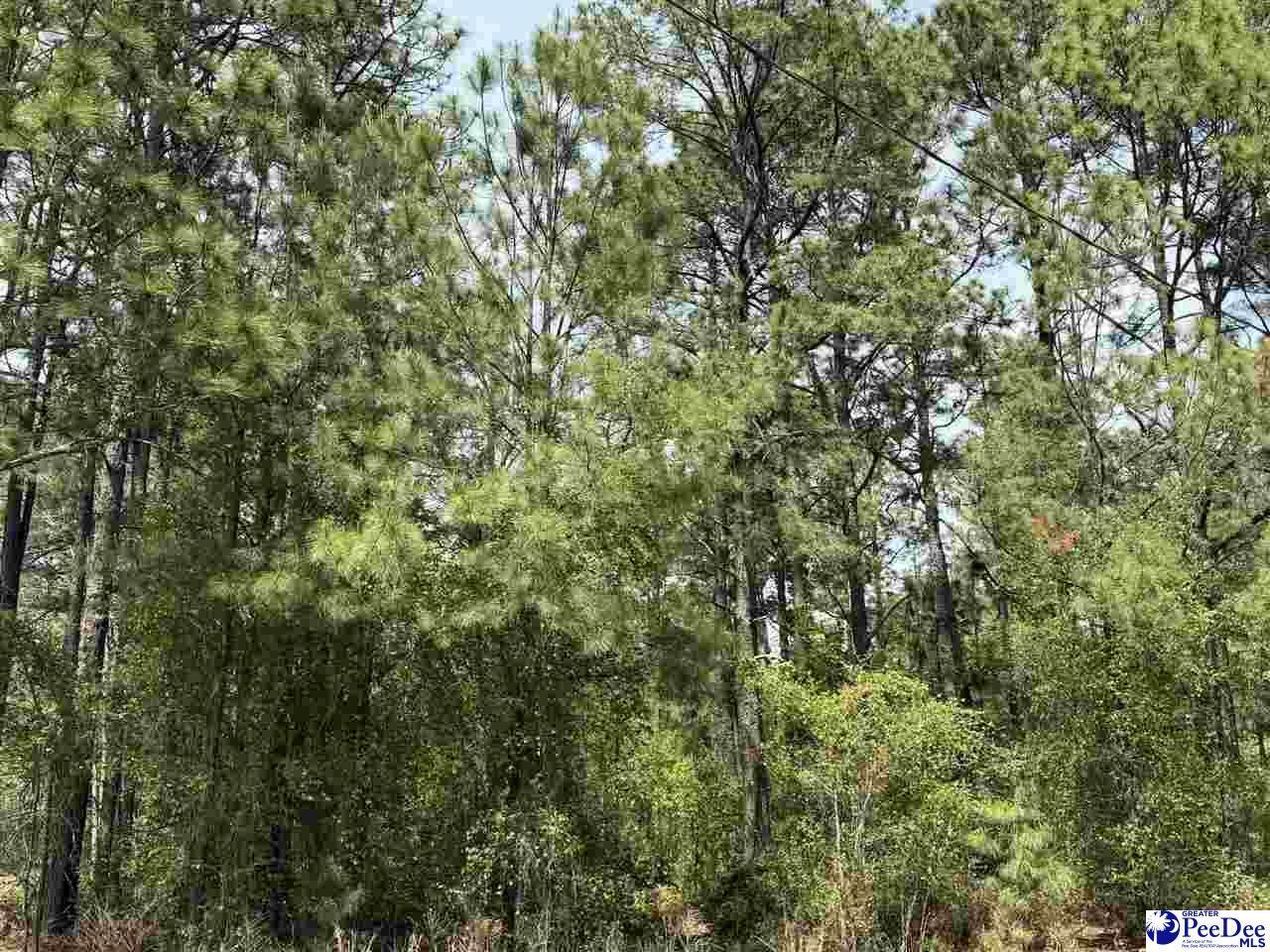 TBD Skylite Drive - Photo 1
