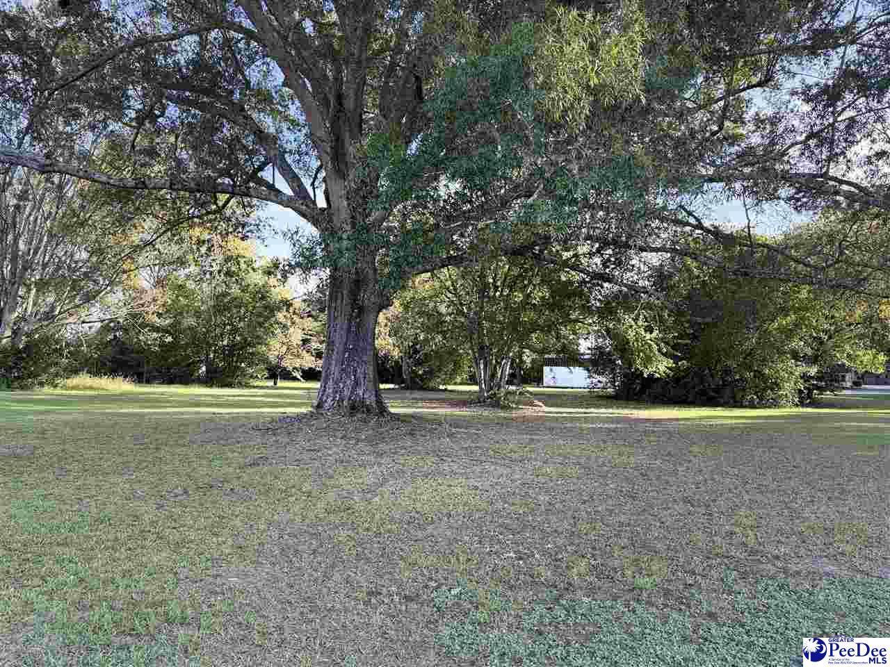 920 Godbold Street - Photo 1