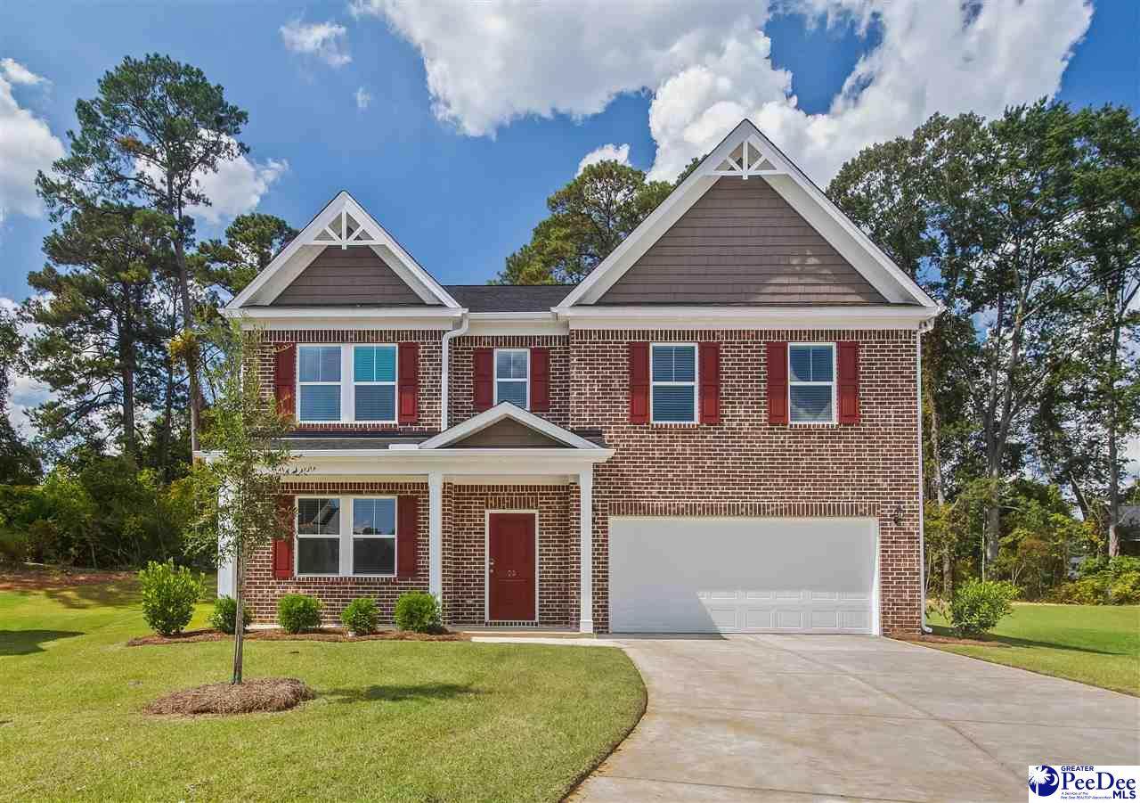 1184 Summer Duck Loop - Photo 1