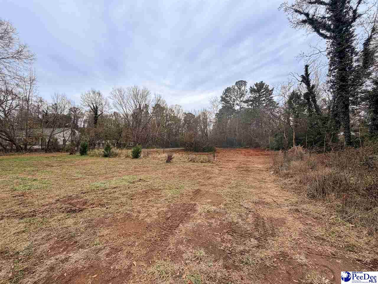 2753B Poinsett Hwy - Photo 1