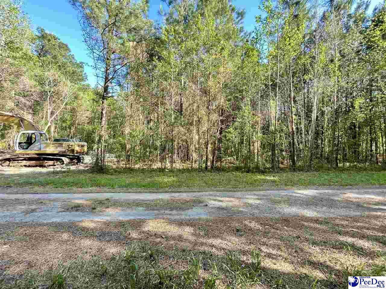 TBD Beth Dr - Photo 1
