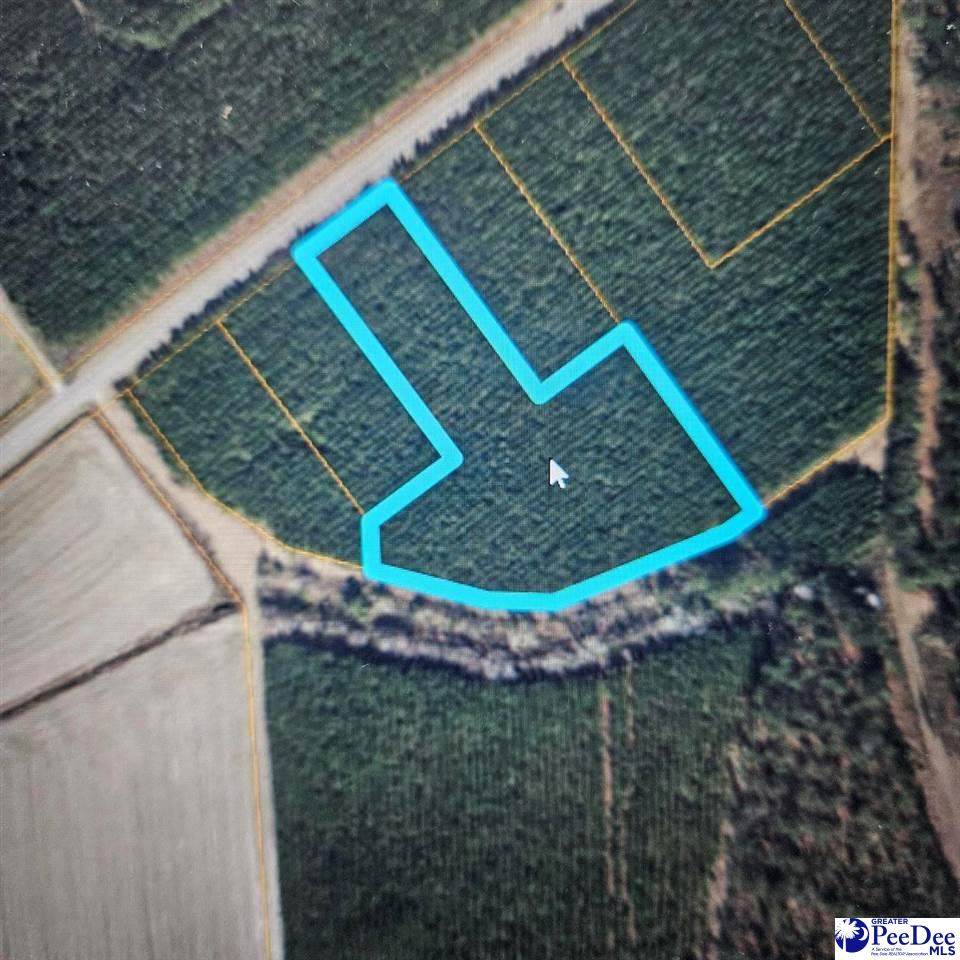 TBD Hwy 45 - Photo 1