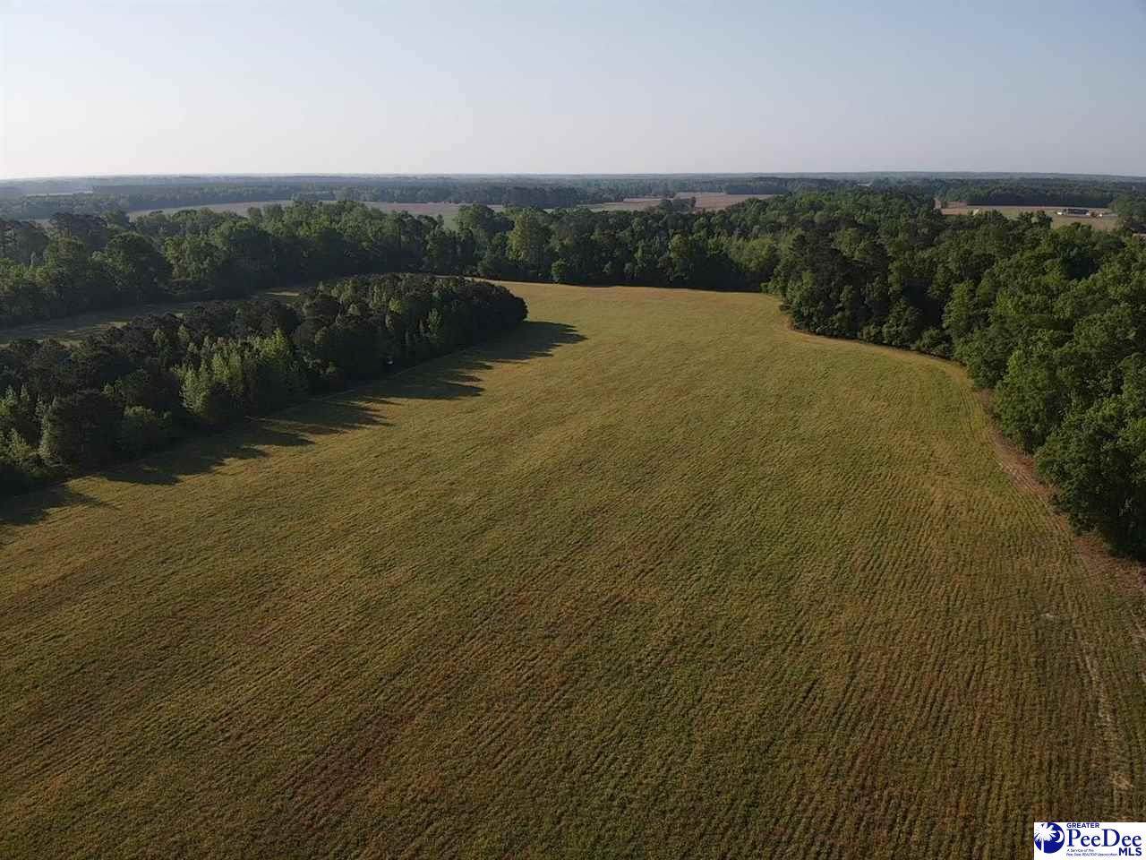 TBD Tobacco Land Road - Photo 1