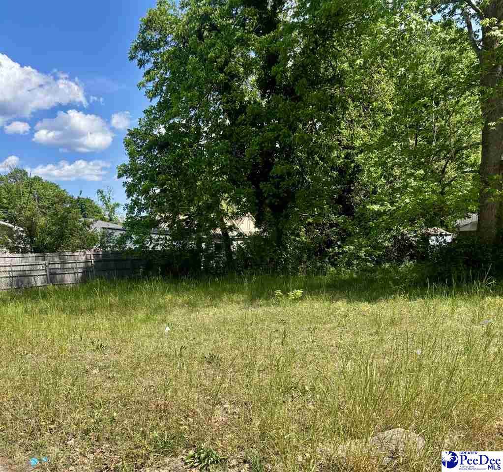 403&405 Jessamine St. - Photo 1