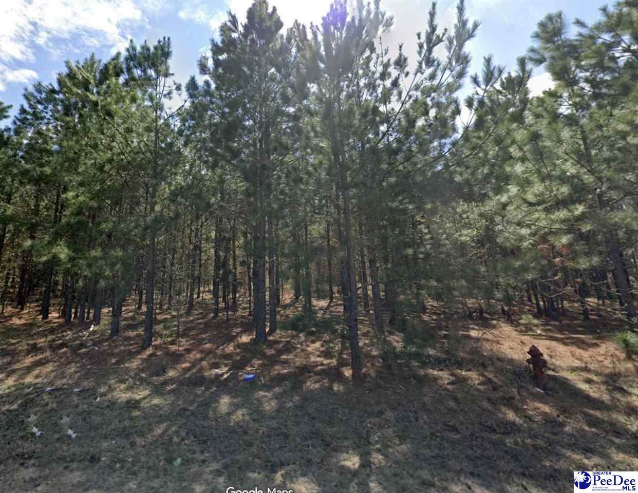  Bullard Ford Rd - Photo 1