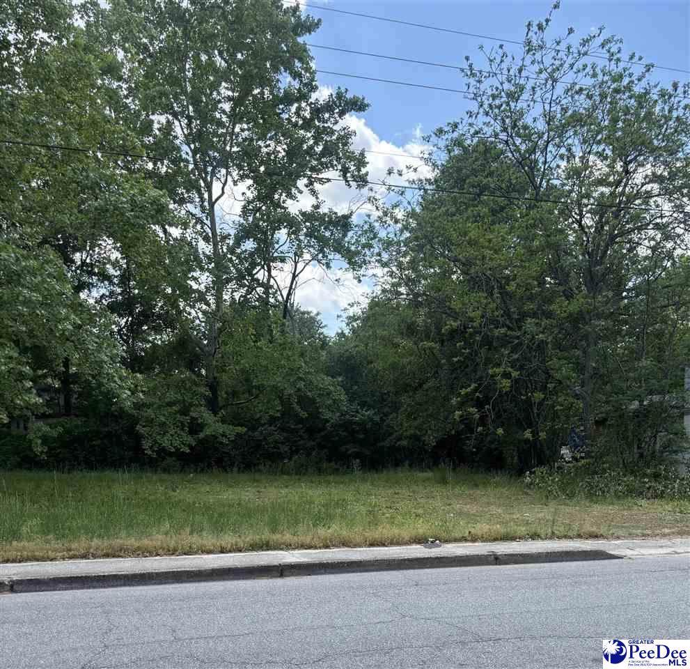 TBD Edwards Avenue - Photo 1