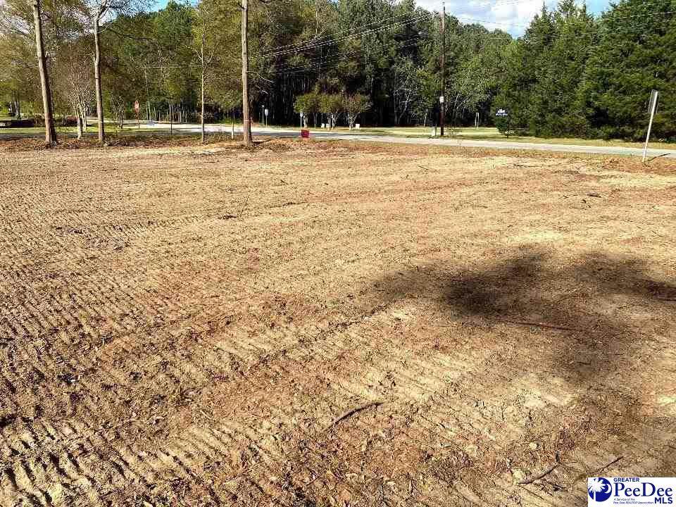  Dunlap Dr - Photo 1