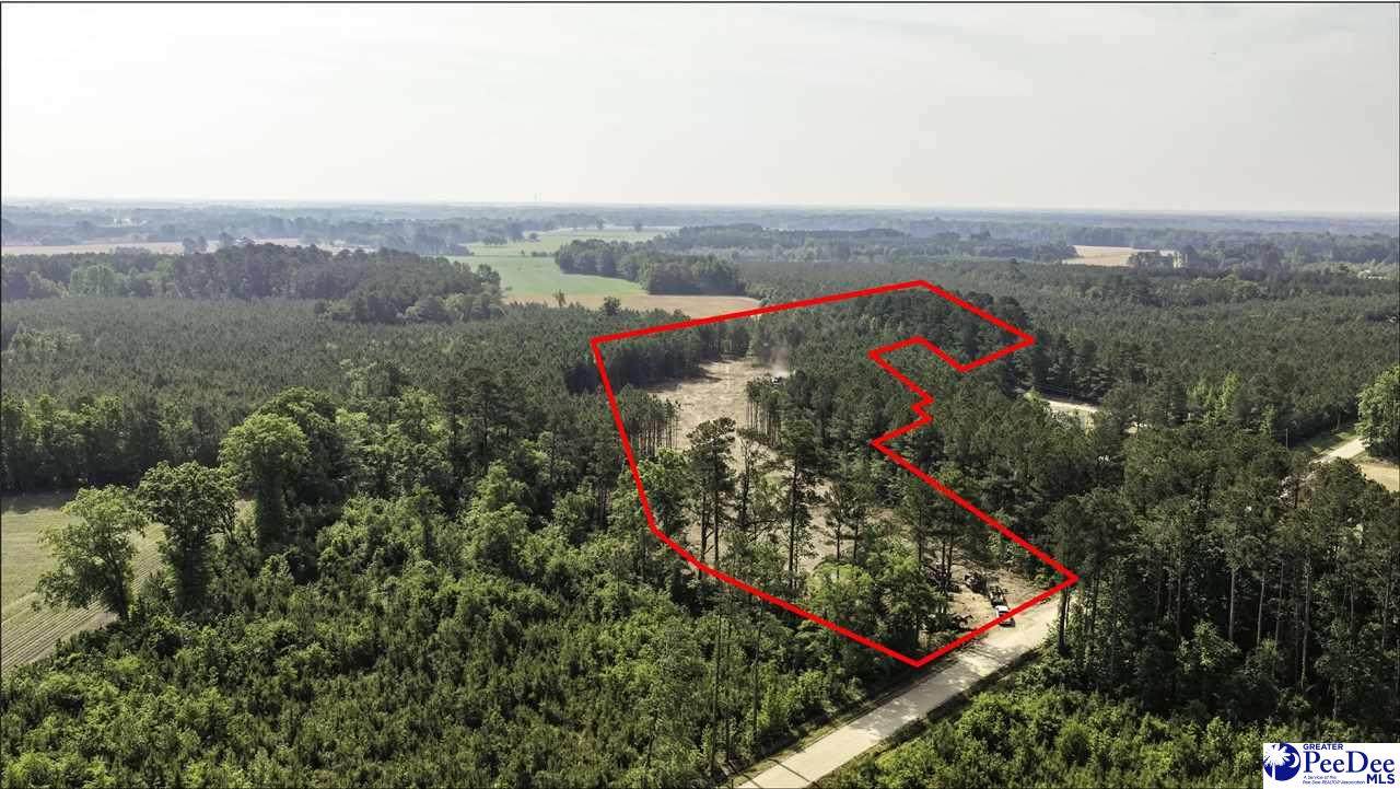 TBD Newberry Road - Photo 1