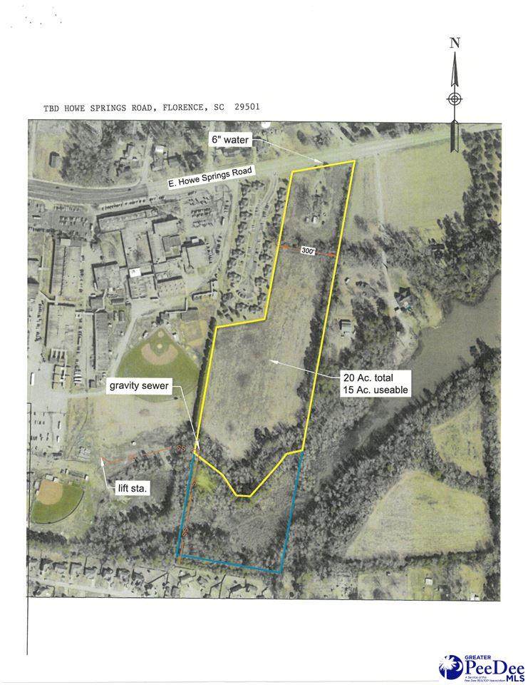 TBD Howe Springs Road - Photo 1
