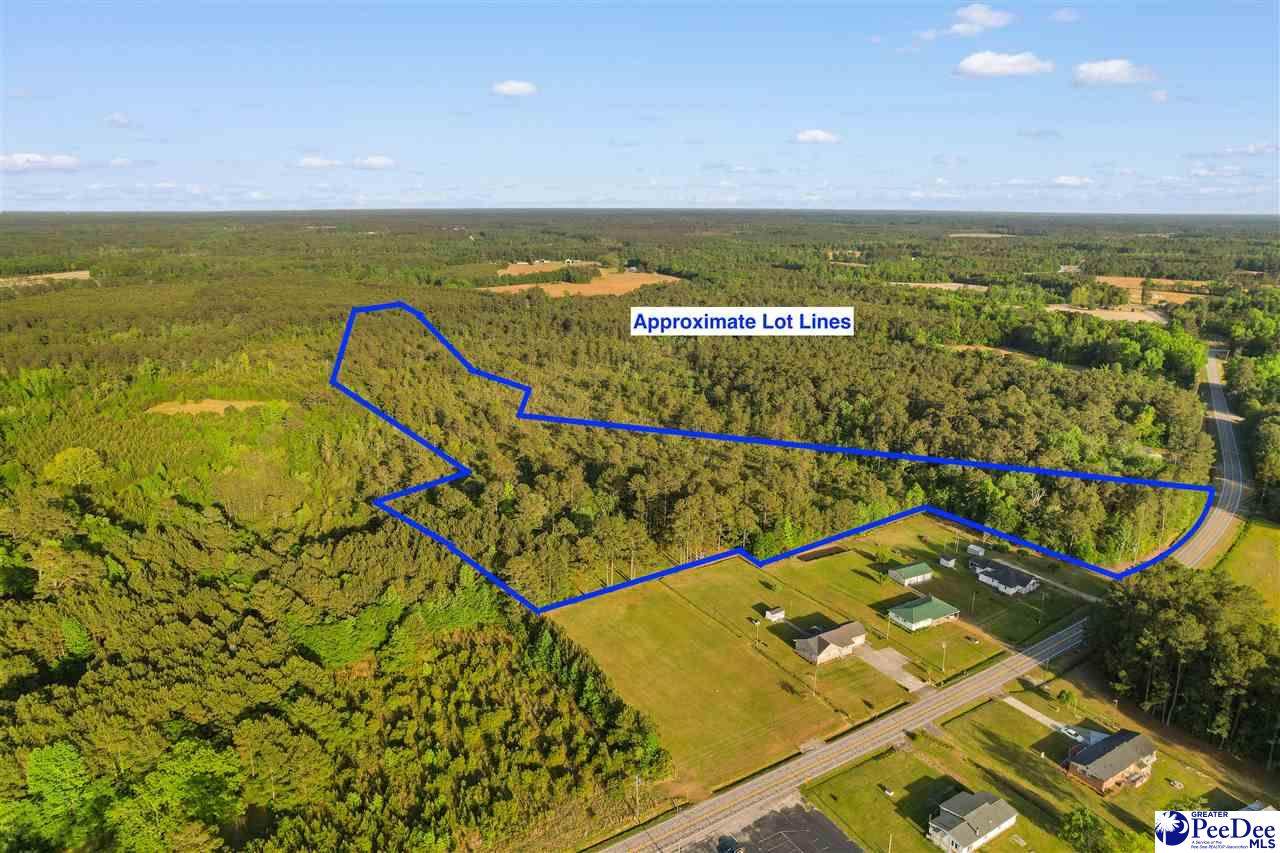 TBD Mount Olive Church Rd - Photo 1