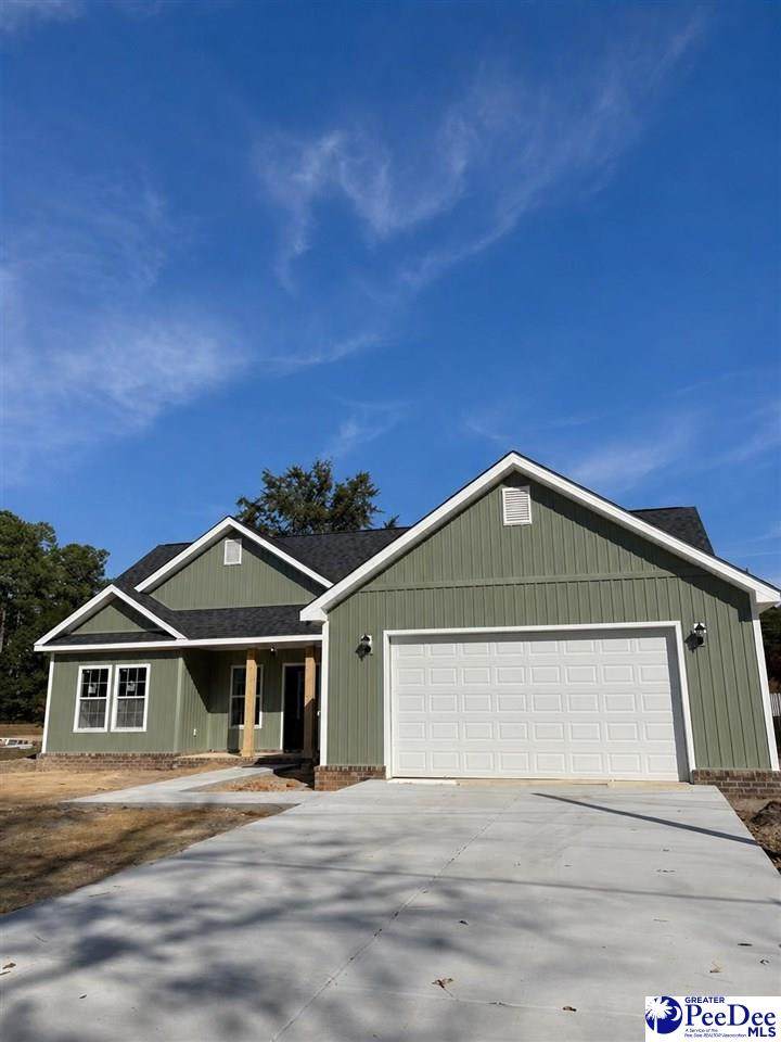 1124 Patrick Hwy - Photo 1