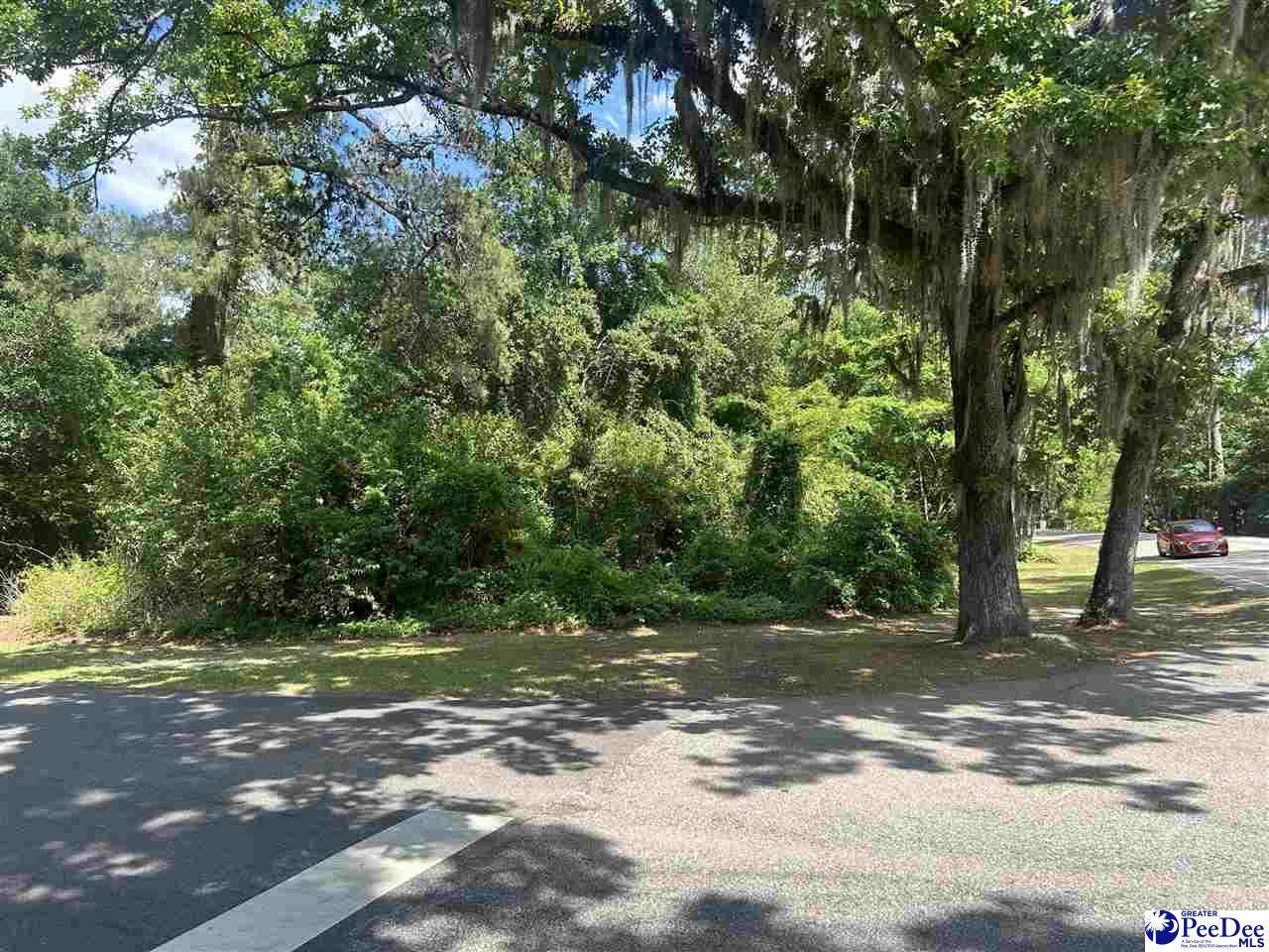 1525 Cherokee Rd. - Photo 1