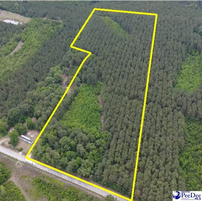 9214 Kingstree Hwy (Tract A) - Photo 1