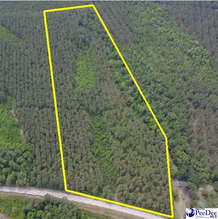 9214 Kingstree Hwy (Tract B) - Photo 1