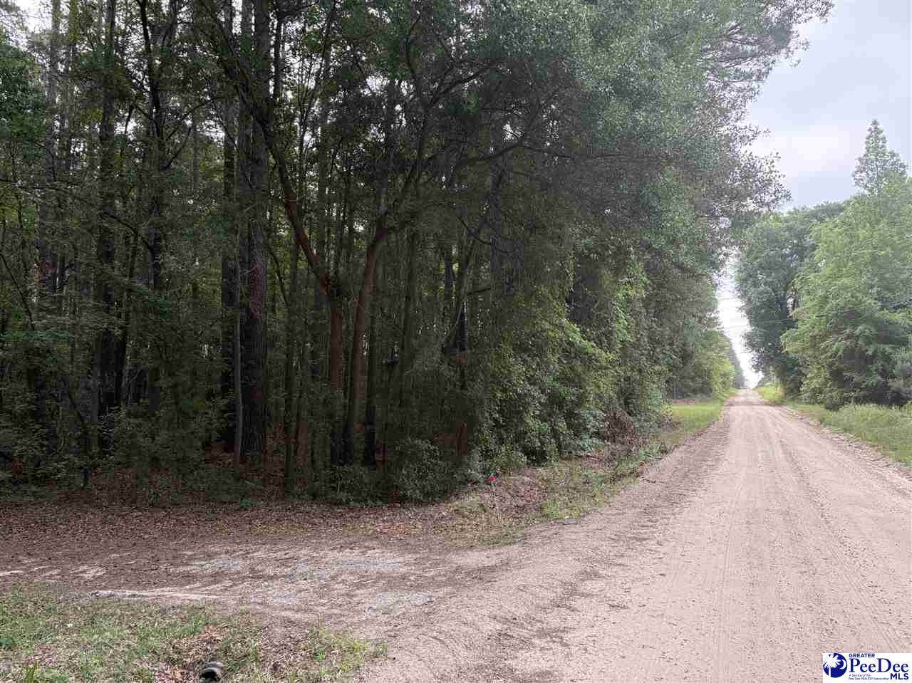 TBD Flat Creek Rd - Photo 1