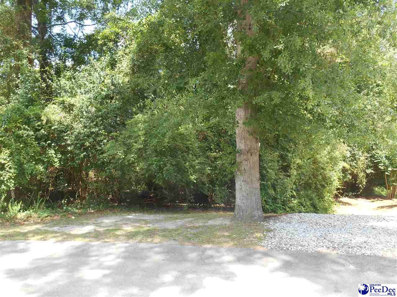 1007 Hondros Circle - Photo 1