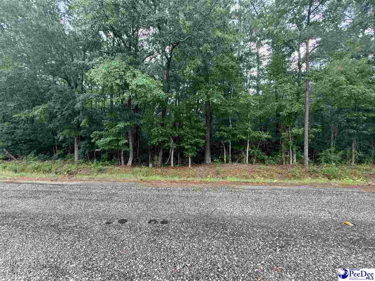 TBD Brookeside Road - Photo 1
