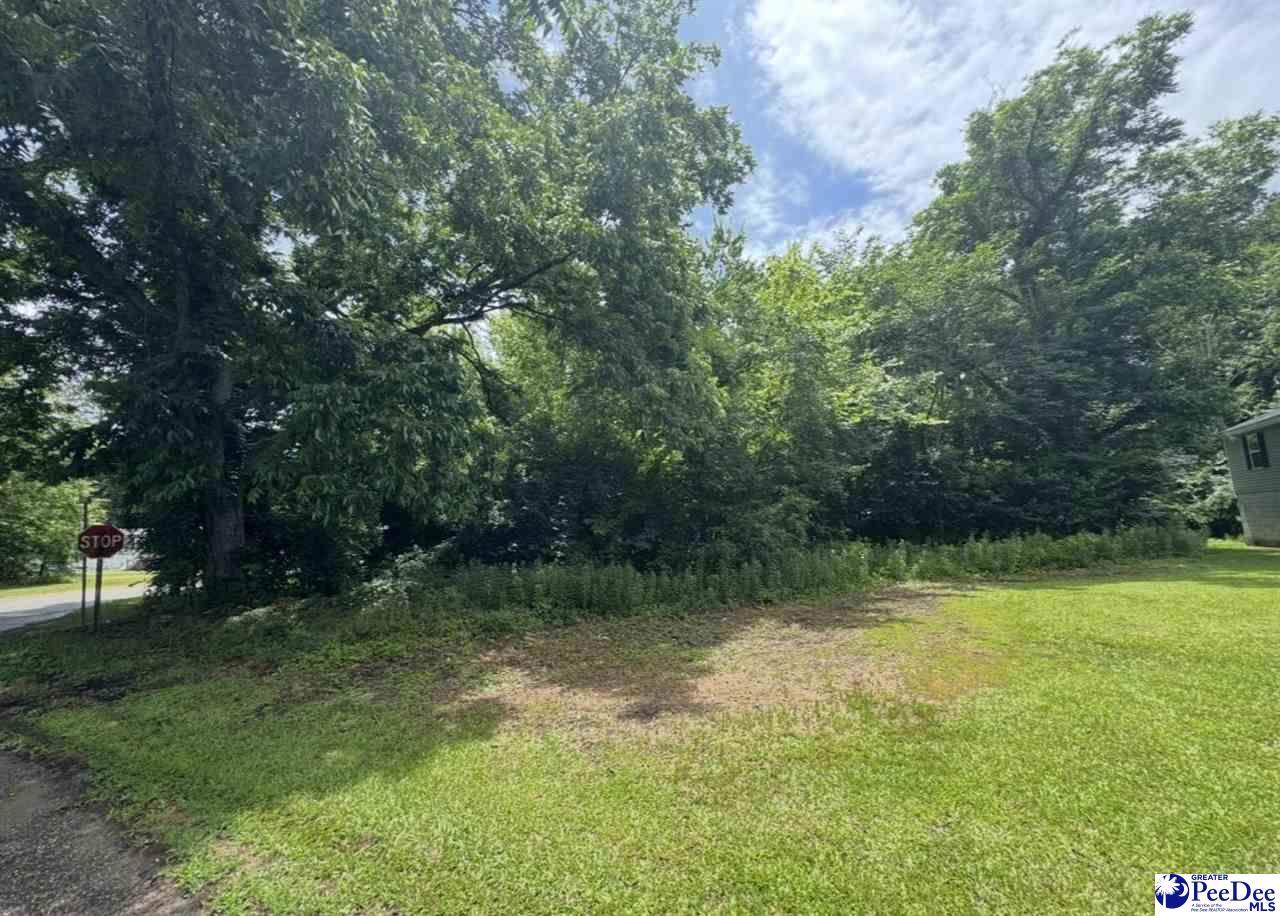 2600 Bank St - Photo 1