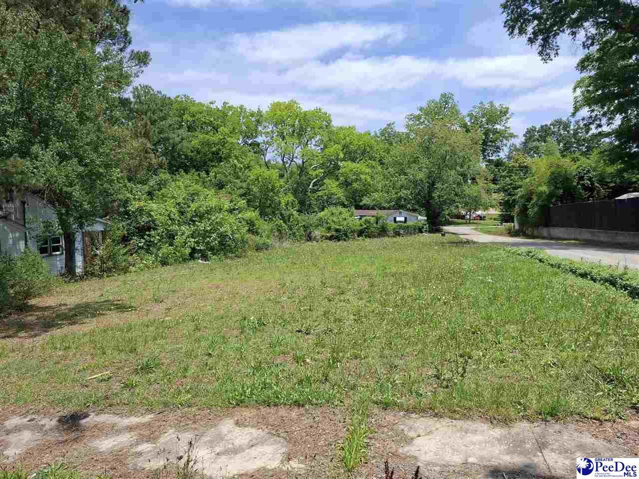 118 Livingston St. - Photo 1