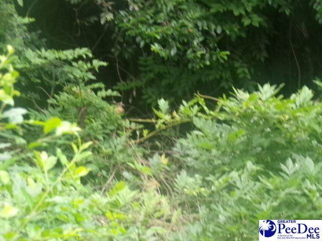 00 Trailwood Dr - Photo 1