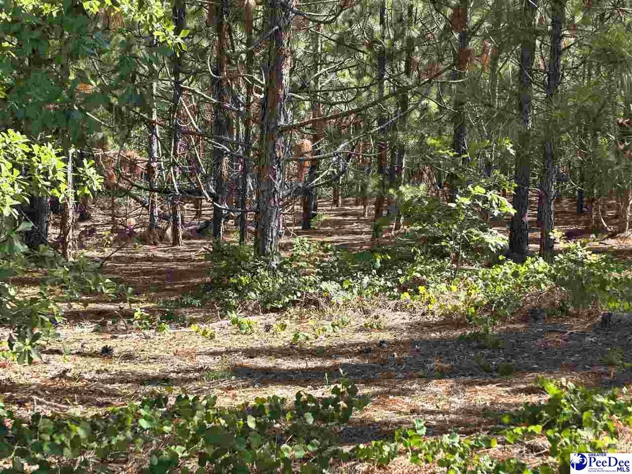 https://bt-photos.global.ssl.fastly.net/peedee/orig_boomver_1_2602691-2.jpg