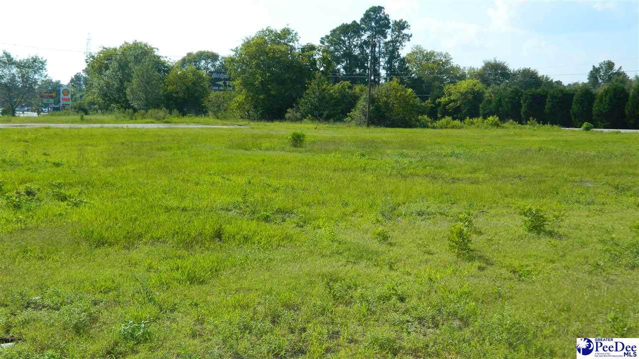 4603 Highway 76 - Photo 1