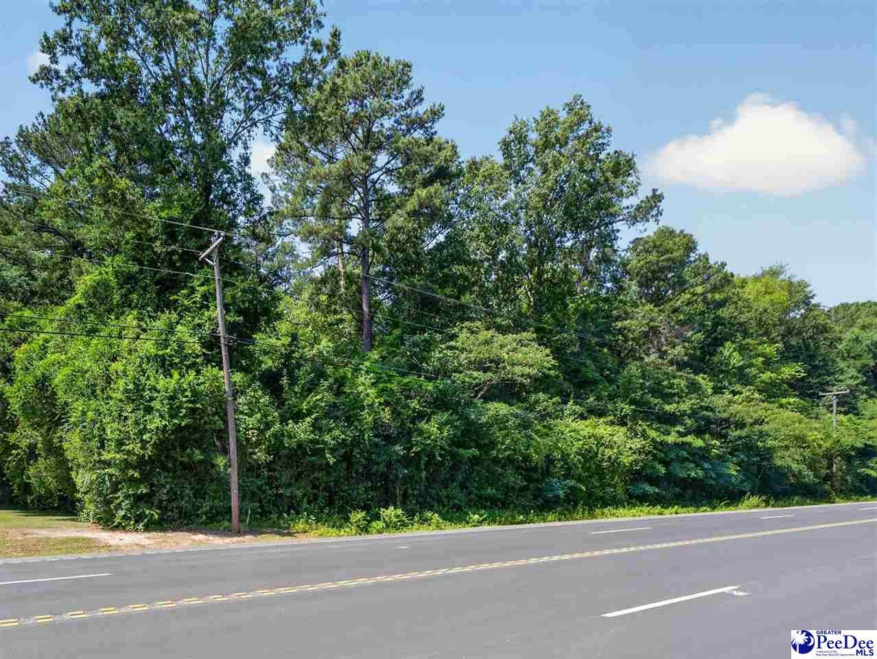 TBD Us Hwy.15 And 401-Bypass W (Lots 9,10,11,12,13,14) - Photo 1