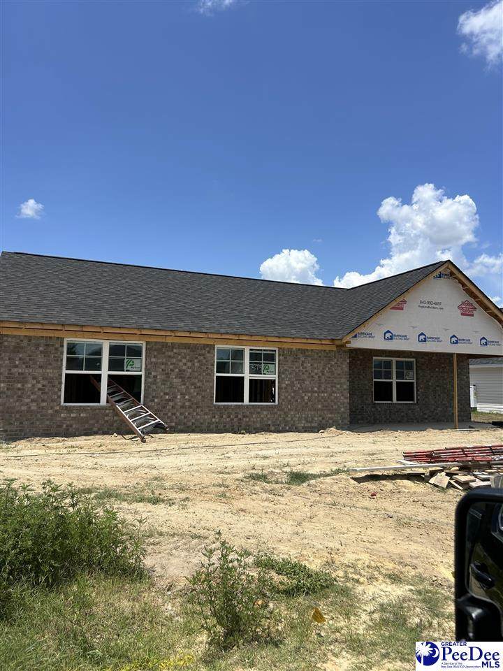 3731 Cantle Street - Photo 1