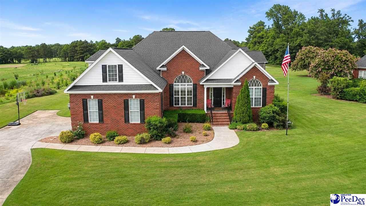 3239 Black Heath Drive - Photo 1