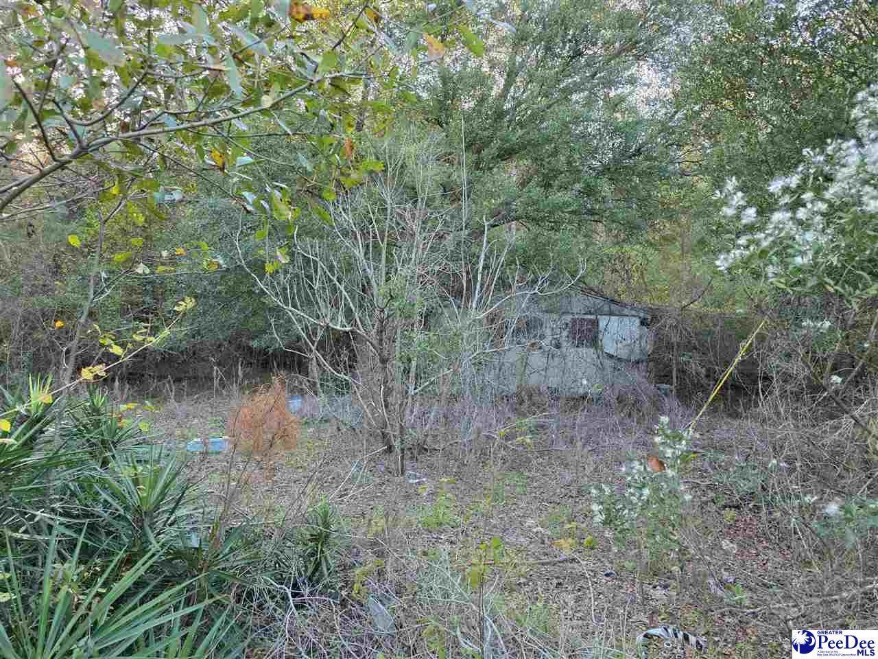 https://bt-photos.global.ssl.fastly.net/peedee/orig_boomver_1_2603124-2.jpg