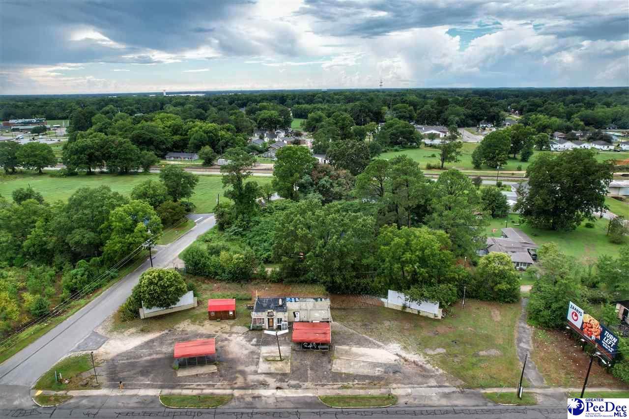 710 Highway 301 - Photo 1