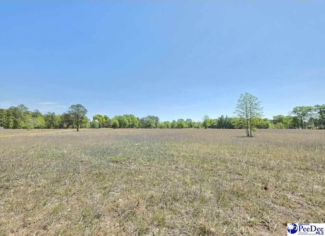 0 Trent Drive - Photo 1