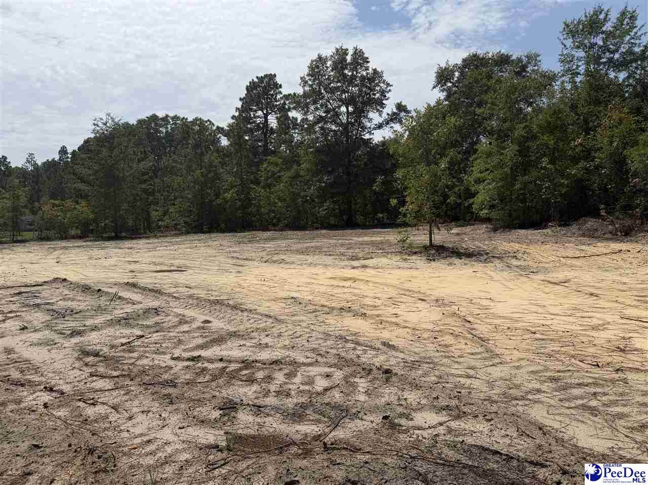 Lot 2 Patrick Highway - Photo 1