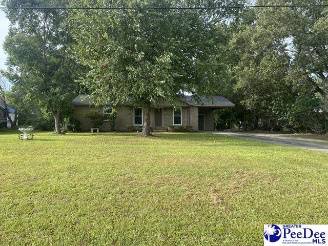 1002 Pitty Pat Drive - Photo 1