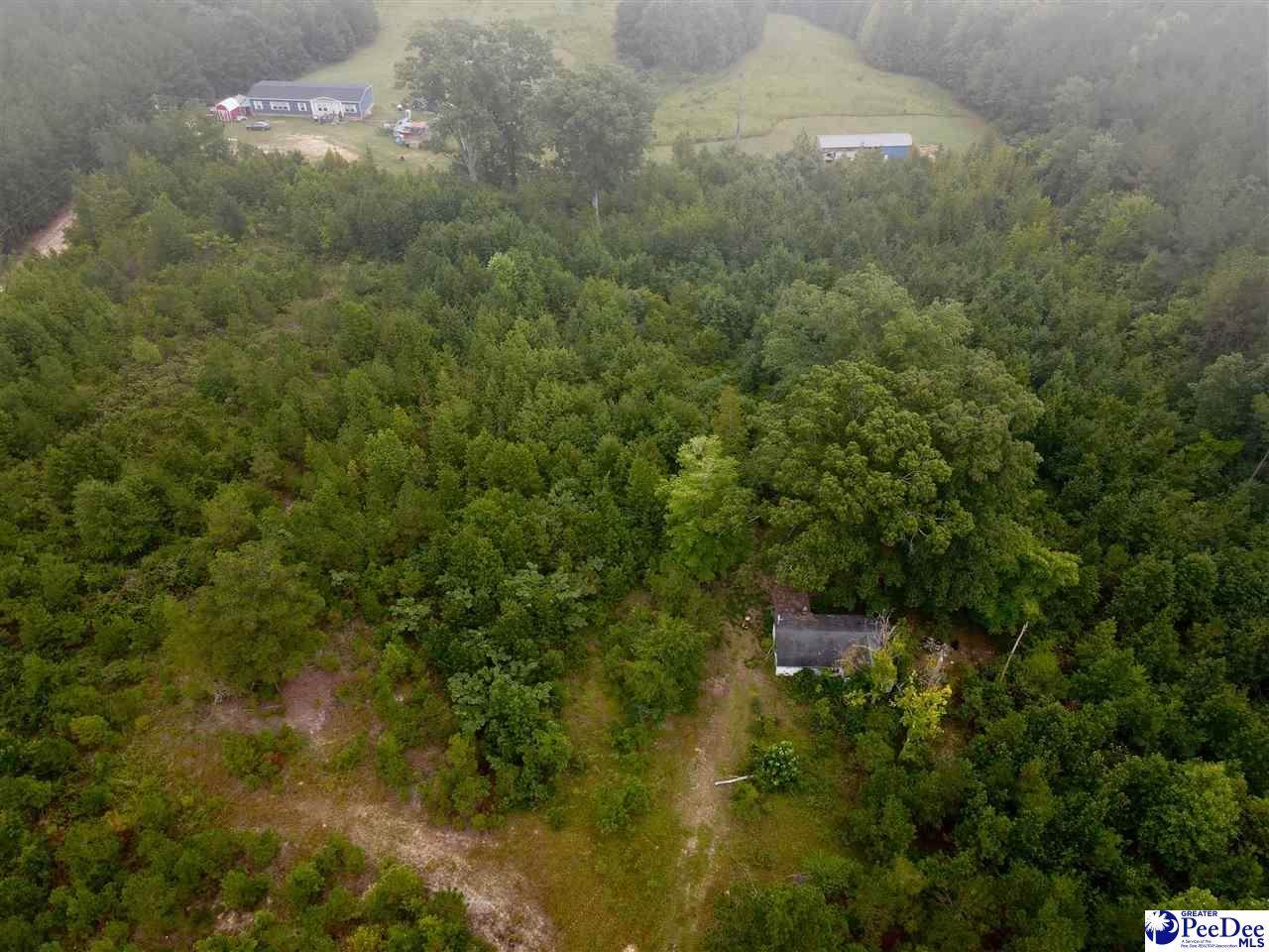 96 Pine Tree Ln - Photo 1