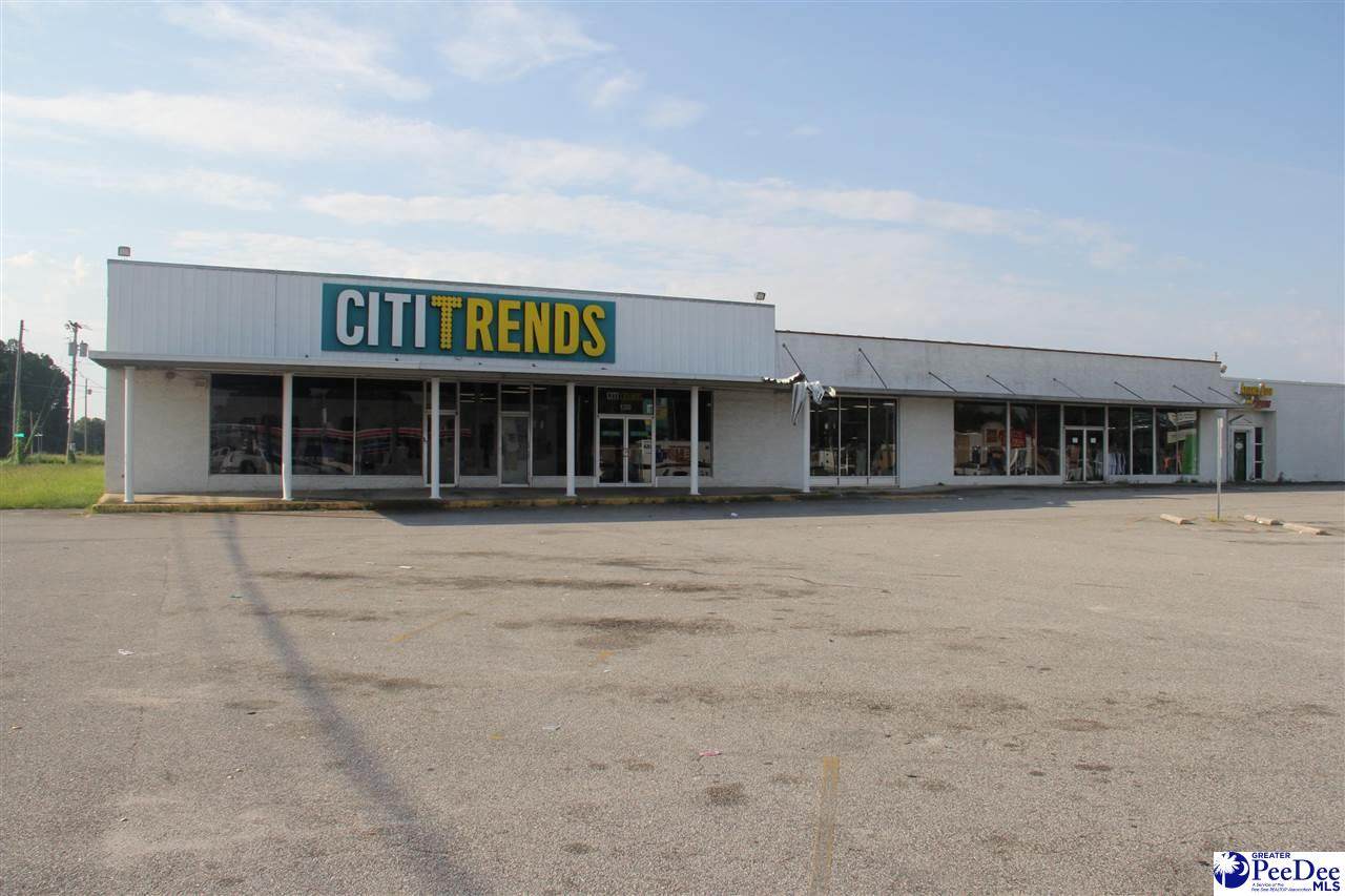 130 Hwy 15-401 Bypass E - Photo 1