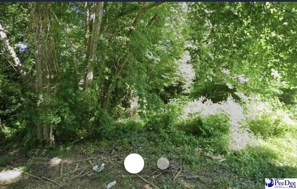 100 2nd Ave - Photo 1