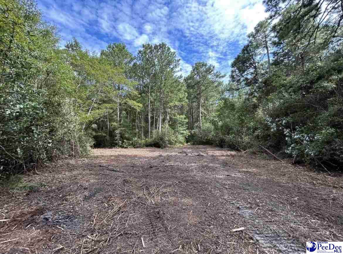 000 Hwy 52 - Photo 1