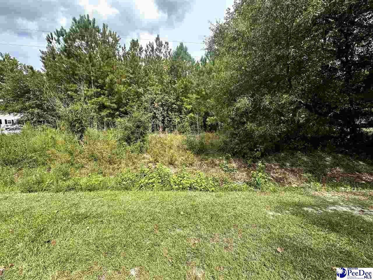 TBD Willowtree Rd - Photo 1