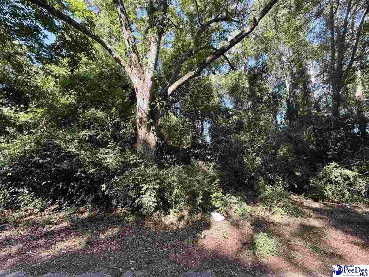107 Lucus St - Photo 1