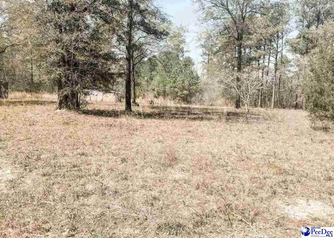 6325 Cartwheel Road - Photo 1