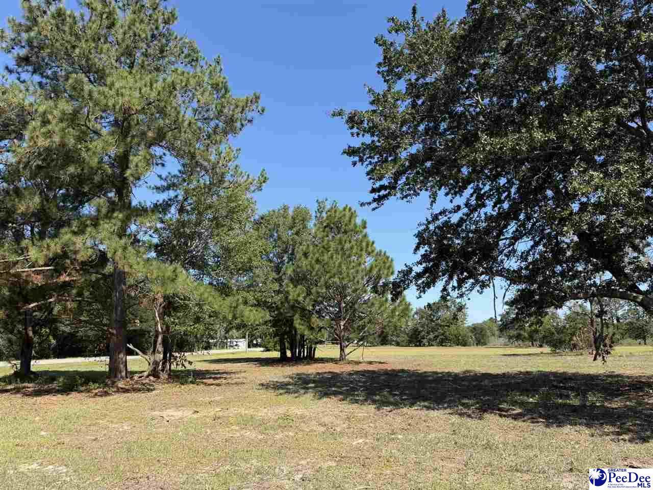 Lot 1 Isaiah Drive - Photo 1
