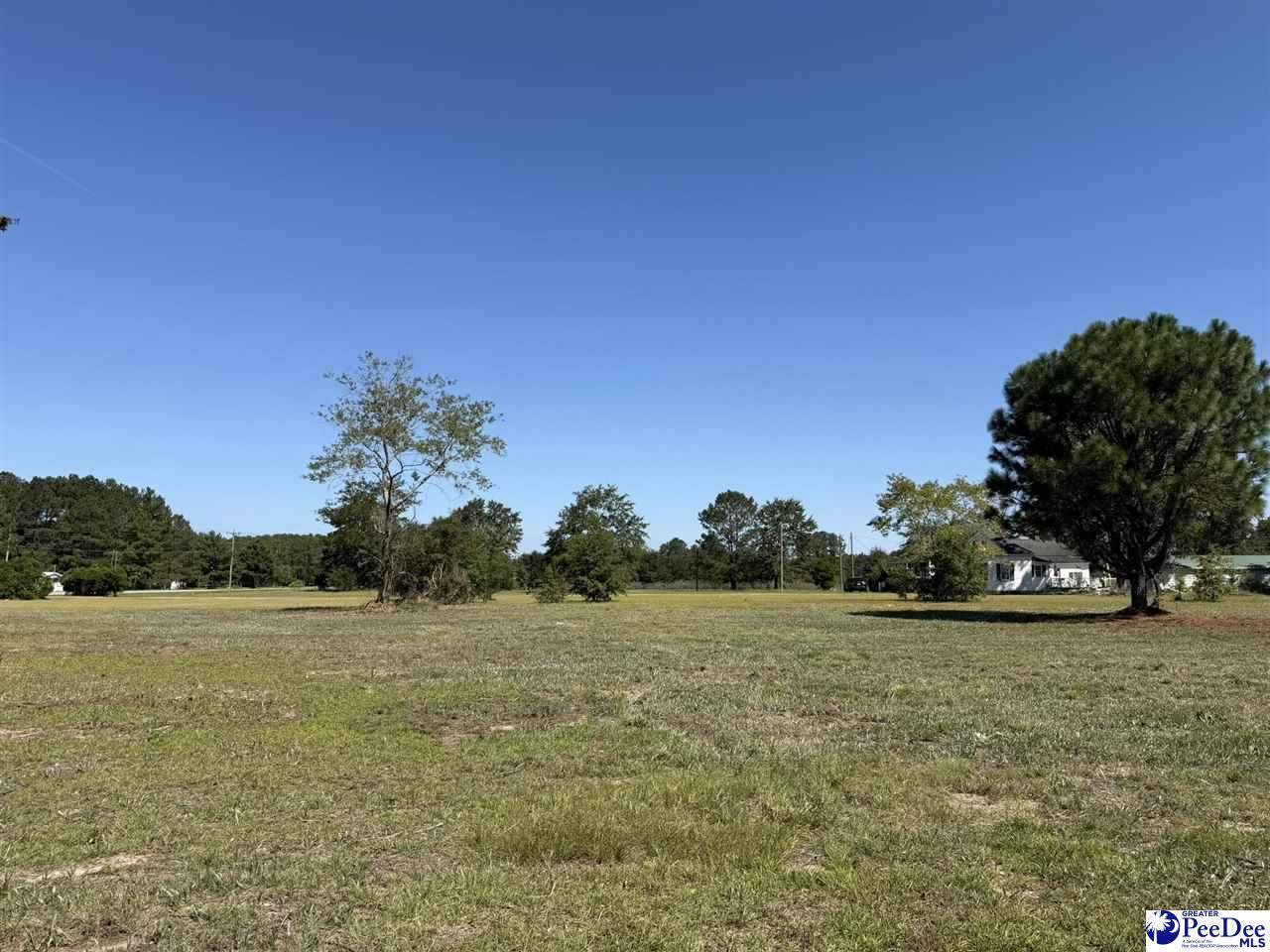 Lot 2 Isaiah Drive - Photo 1